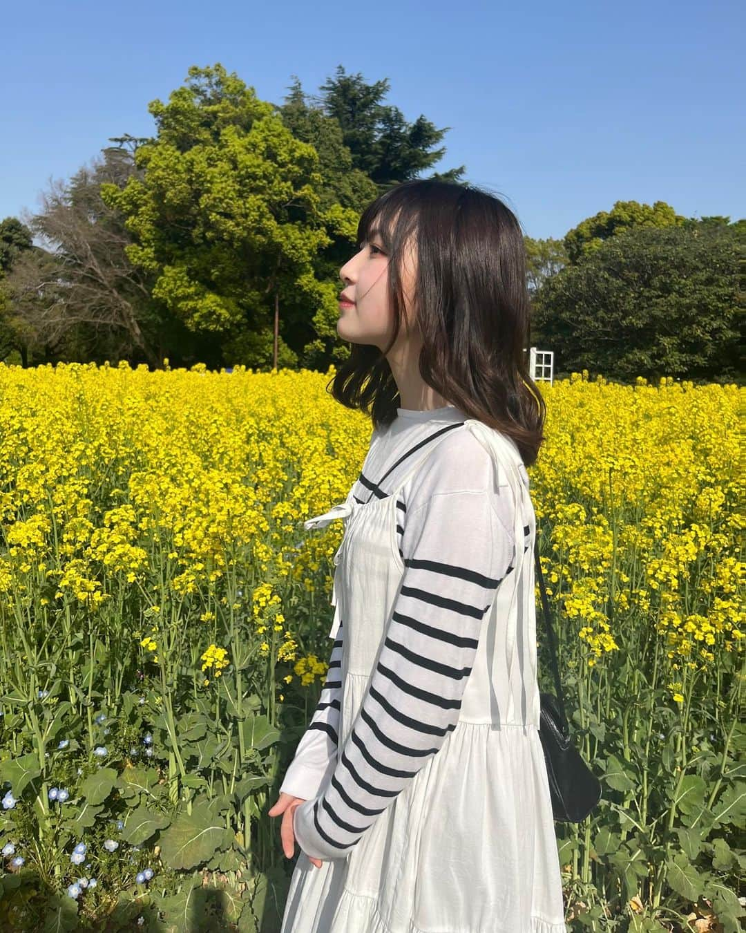 野崎奈菜さんのインスタグラム写真 - (野崎奈菜Instagram)「⁡ お友達が沢山撮ってくれました！ ピクニックしたりめっちゃ楽しかった🧺」4月22日 18時06分 - lunelapin_na7