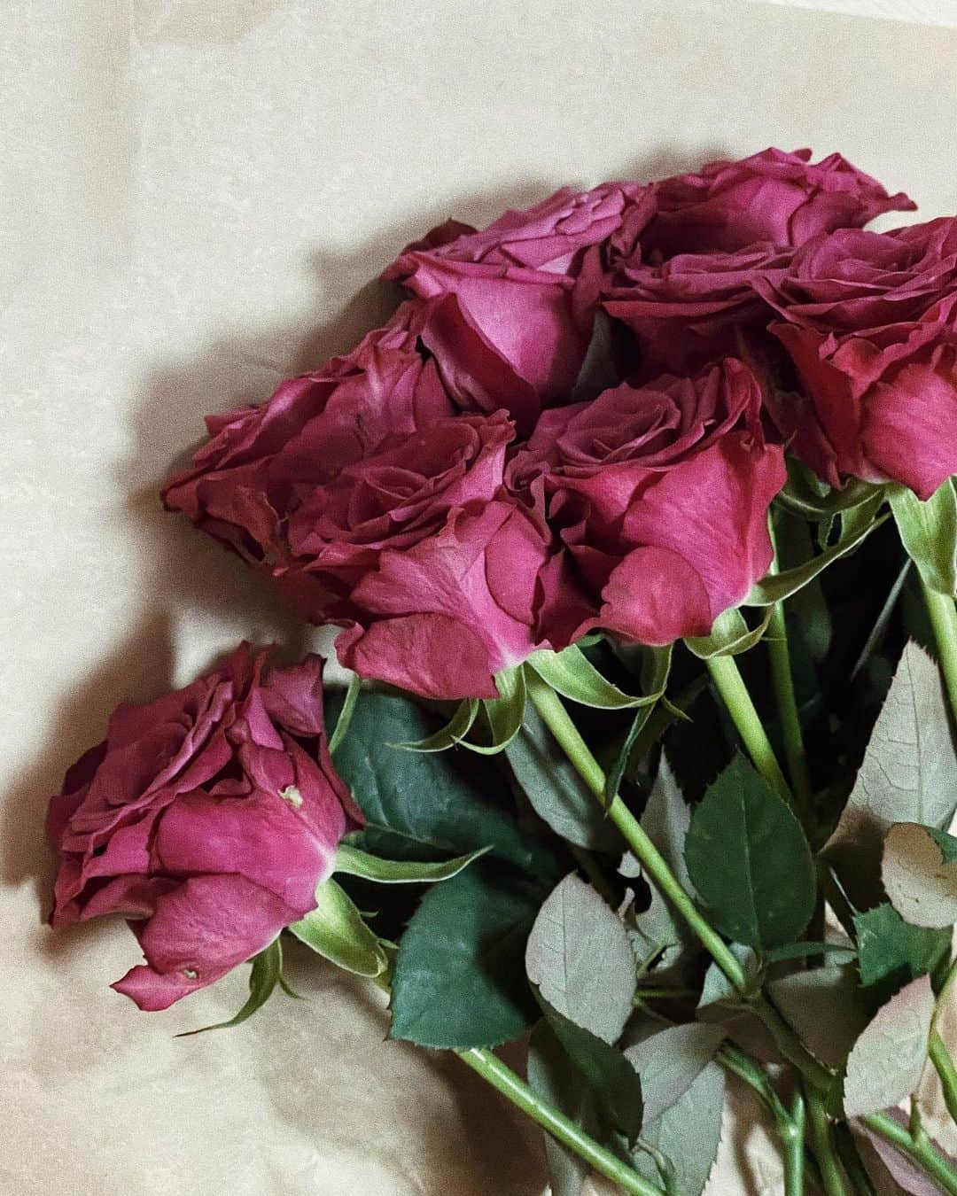 上野智子のインスタグラム：「from ♡♡♡ バラが好きで、roséが好き。 そしてたけPが買ってきてくれるお花が大好き😉  #roses #rosé #夫婦生活」