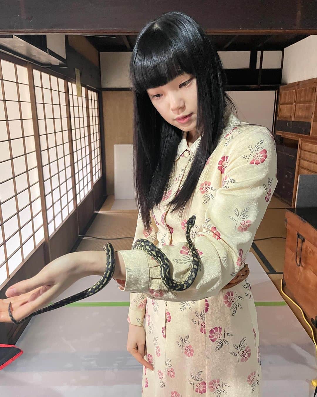 古川琴音のインスタグラム：「* NHK「犬神家の一族」 原作：横溝正史／脚本：小林靖子／演出：吉田照幸 野々宮珠世 役で出演します🐍 ＜前編＞4月22日(土)21:00～22:30 BSプレミアム・BS4K ＜後編＞4月29日(土)21:00～22:30 BSプレミアム・BS4K」