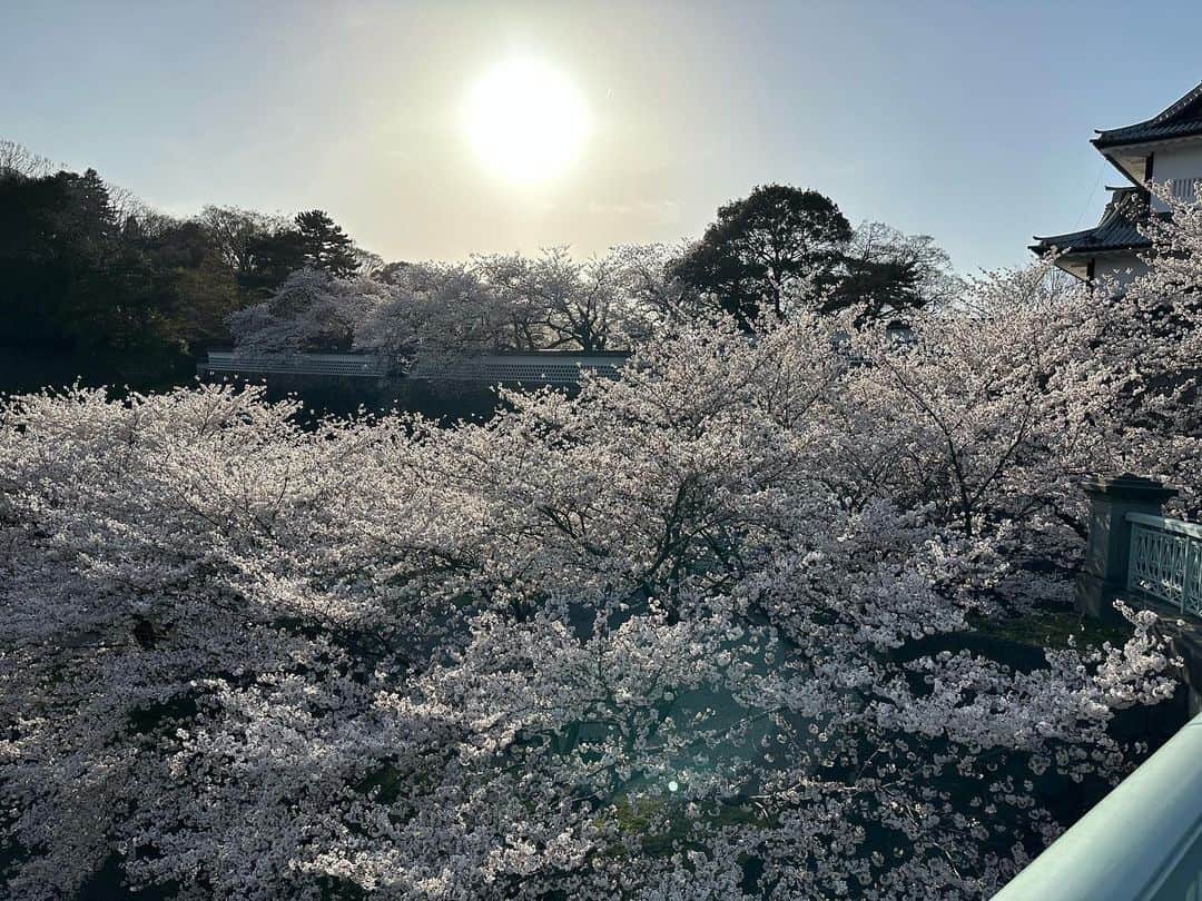 能見篤史さんのインスタグラム写真 - (能見篤史Instagram)「私事ですが、3月に兼六園と金沢城跡に行って参りました✋  天気も良く、桜も見応えありました😊  金沢城跡も凄く広くて全部は回れませんでしたが、立派な城跡でした🏯  桜の季節が過ぎての投稿お許し下さい🙇🏻 #兼六園 #金沢城跡 #桜 #季節終わり #すみません」4月22日 19時21分 - nohmi_atsushi_official