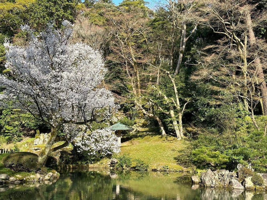 能見篤史のインスタグラム：「私事ですが、3月に兼六園と金沢城跡に行って参りました✋  天気も良く、桜も見応えありました😊  金沢城跡も凄く広くて全部は回れませんでしたが、立派な城跡でした🏯  桜の季節が過ぎての投稿お許し下さい🙇🏻 #兼六園 #金沢城跡 #桜 #季節終わり #すみません」