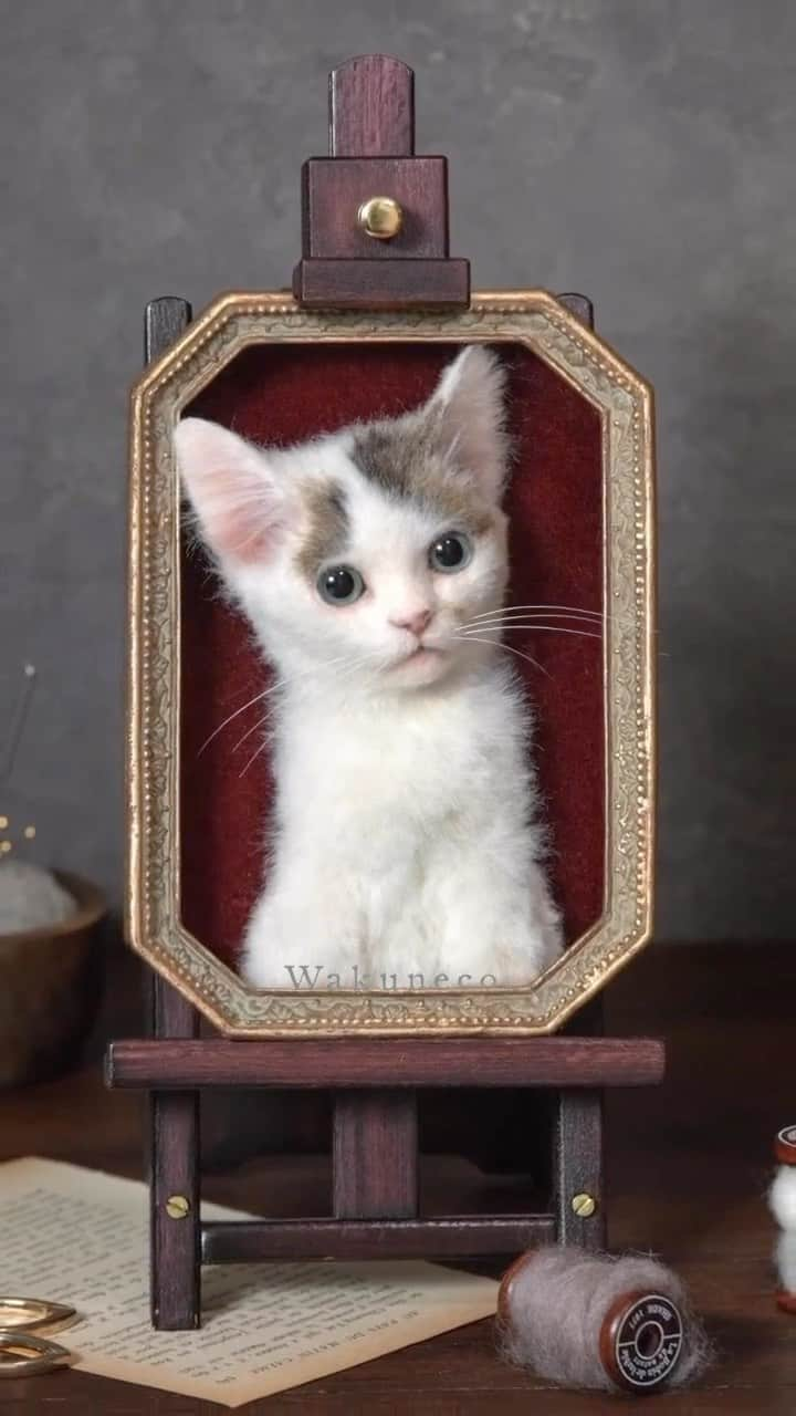 わくねこ羊毛フェルトのインスタグラム：「Here are some before and finished pictures of the hair. My work has been square, but this is a half-length portrait❤️  毛が生える前と、生えたあと🐱❤️  これまでは正方形フレームをメインに使用してきましたが、 著書「わくねこ」の作り方ではさまざまな構図でご紹介しています。  完成写真も投稿したかったので😄❤️  次からはオーダー制作の修くんの制作過程を投稿します🐱❤️  #猫 #ねこ部 #meow #ilovemycat #needlefelting #고양이 #양모펠트 #羊毛毡 #羊毛フェルト #ハンドメイド猫 #羊毛フェルト作品 #羊毛フェルト猫 #羊毛氈 #흰고양이 #サンドグレーズアイ #feltart #artwoks #アート　#子猫　#kitten」