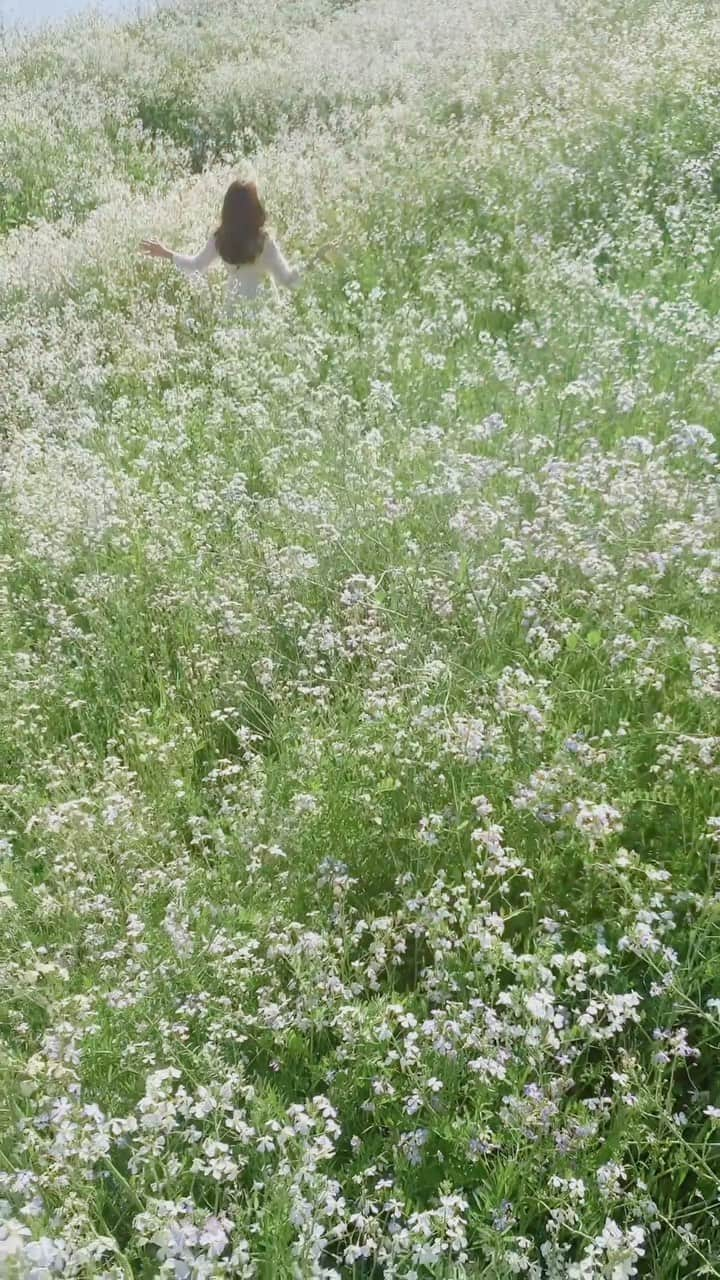 大川真代のインスタグラム：「🌏🫶🌿  Happy Earth Day🌱  #地球の日 #自然 #環境に優しい #sdgs #climate  #love #nature #naturelover #loveislove  #earthday #earth #earthfocus #flowers」