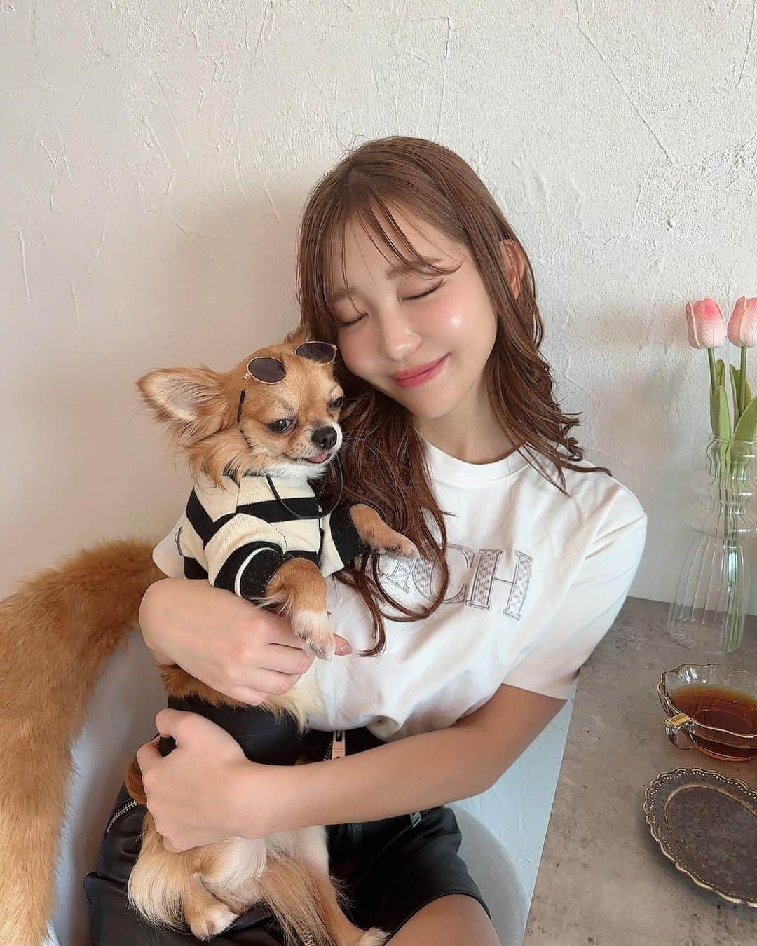 COCOさんのインスタグラム写真 - (COCOInstagram)「my baby🐕💕 さつまいもが大好物のちくわくん(3)♂ @chikuwa0_0」4月22日 19時32分 - coco_coco000