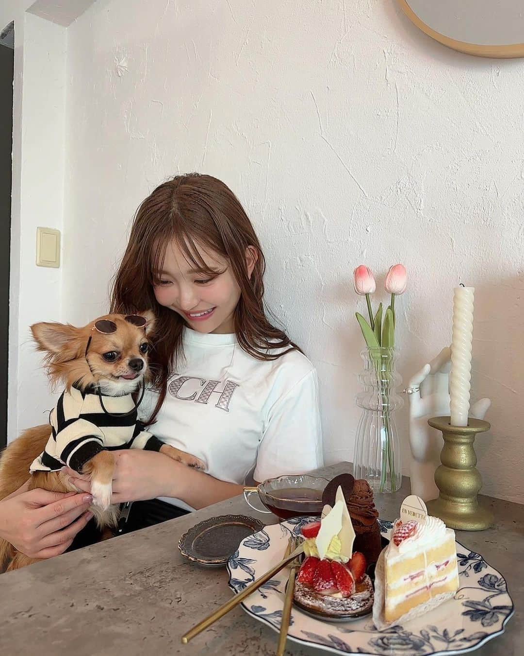 COCOさんのインスタグラム写真 - (COCOInstagram)「my baby🐕💕 さつまいもが大好物のちくわくん(3)♂ @chikuwa0_0」4月22日 19時32分 - coco_coco000