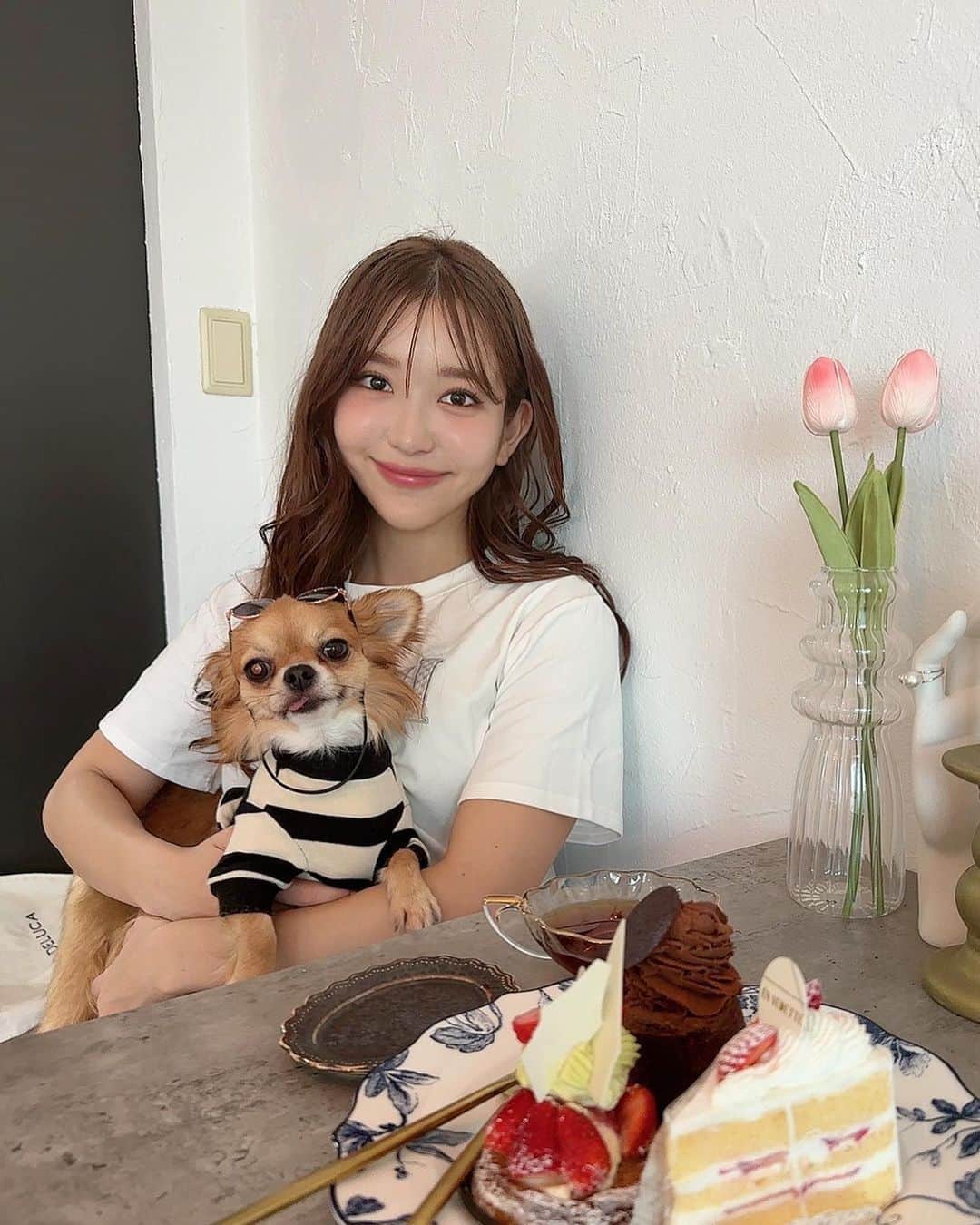 のインスタグラム：「my baby🐕💕 さつまいもが大好物のちくわくん(3)♂ @chikuwa0_0」