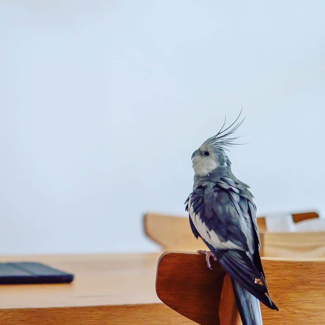 YURAPOi ゆらぽぃのインスタグラム