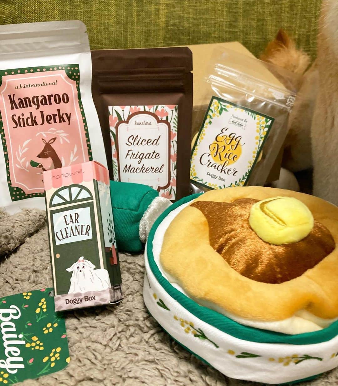 ゆもこさんのインスタグラム写真 - (ゆもこInstagram)「「ふわっふわのパンケーキおいしそー！」 今月も @doggybox_jp さんから可愛い#doggybox が届きました！😆 毎回ほんとに可愛いんですよ…(n´v｀n) 飼い主心も的確にくすぐってくれます🥰 今回のオヤツは魚だったのでひよりの食いつきがすごかったで　す😋 #PR #ドギボ ※ ※ ※ #dogsofinstagram #日本犬 #柴犬 #柴 #赤柴 #shiba #犬バカ部 #ふわもこ部 #柴犬マニア #しば #shibadog #sibainu #ひより日和 #柴女子 #shibagram #worldofcutepets #cutedog #doglover #shibastagram #いぬら部 #柴犬ひより」4月22日 19時59分 - yumohiyo