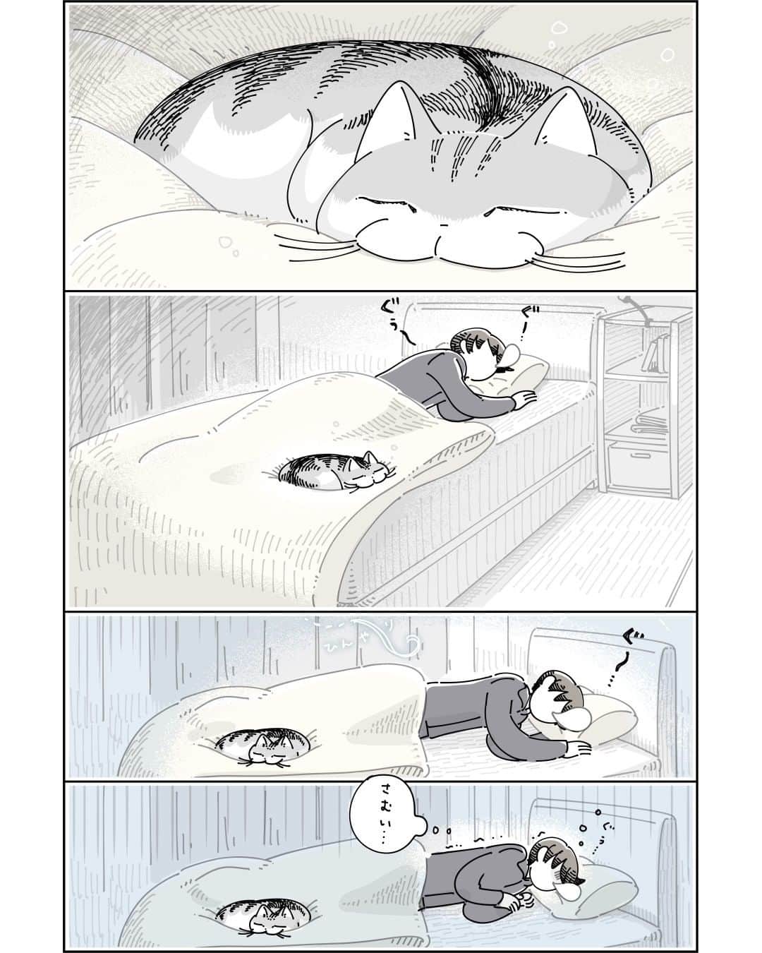 キュルZのインスタグラム：「掛け布団の上のネコ  #キュルガ #夜は猫といっしょ #猫 #cat #猫漫画 #猫のいる暮らし」