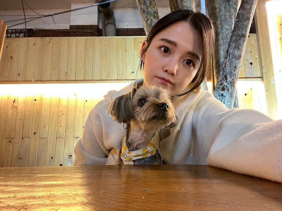 ナム・ボラのインスタグラム：「댕댕이 특: 카메라 절대 안봄🥲」
