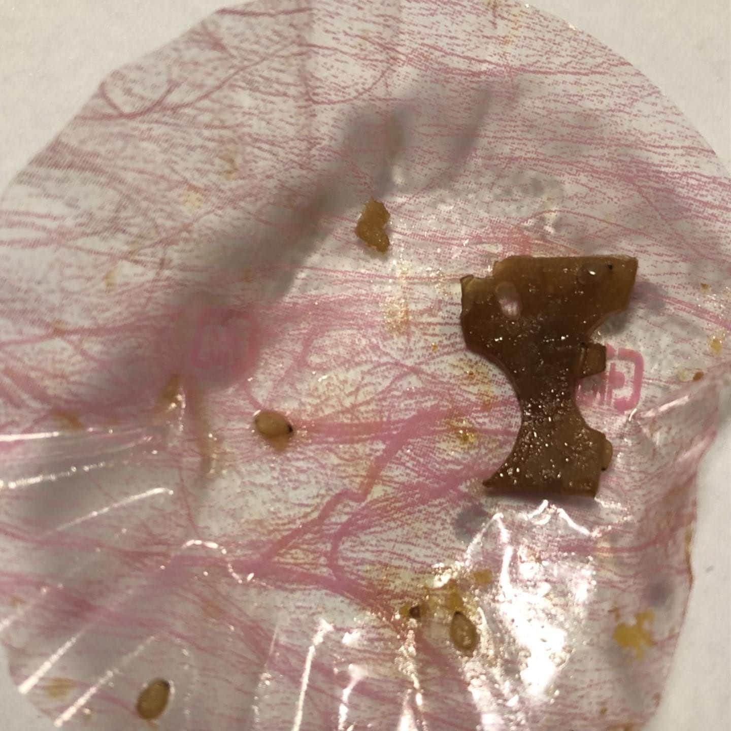 雨月衣のインスタグラム：「今日父親が食べたお弁当の煮物の食べ残し。蓮根の切れ端。 女性の横顔に見える。  あ、反対側はちょっと驚いたカバに🦛  #偶然の顔」
