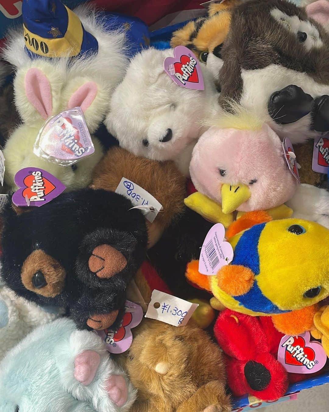 Naomiさんのインスタグラム写真 - (NaomiInstagram)「Cawaii🧊🩵🪽🦭🪞  #cawaii」4月22日 21時06分 - naomi1008