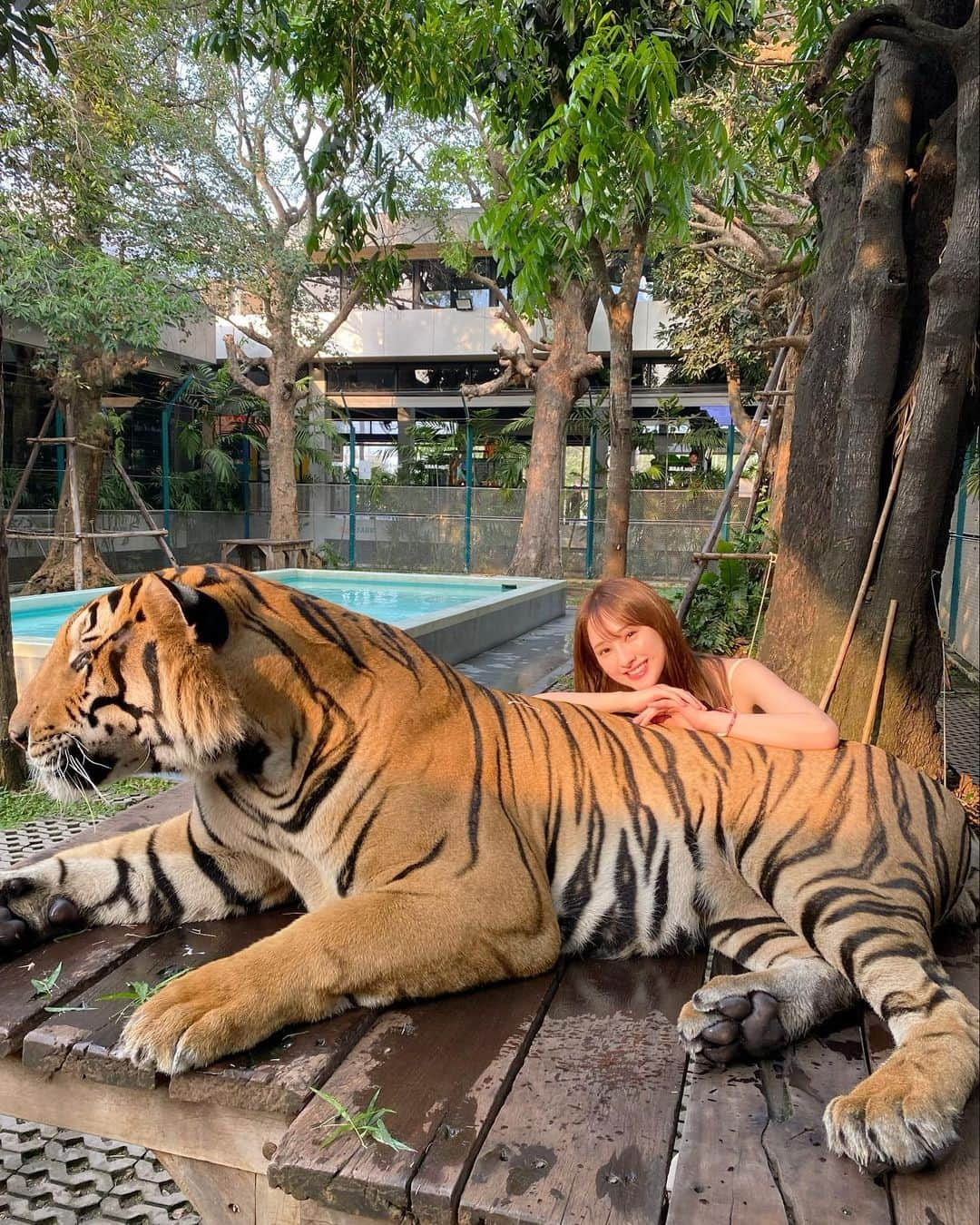 植木南央のインスタグラム