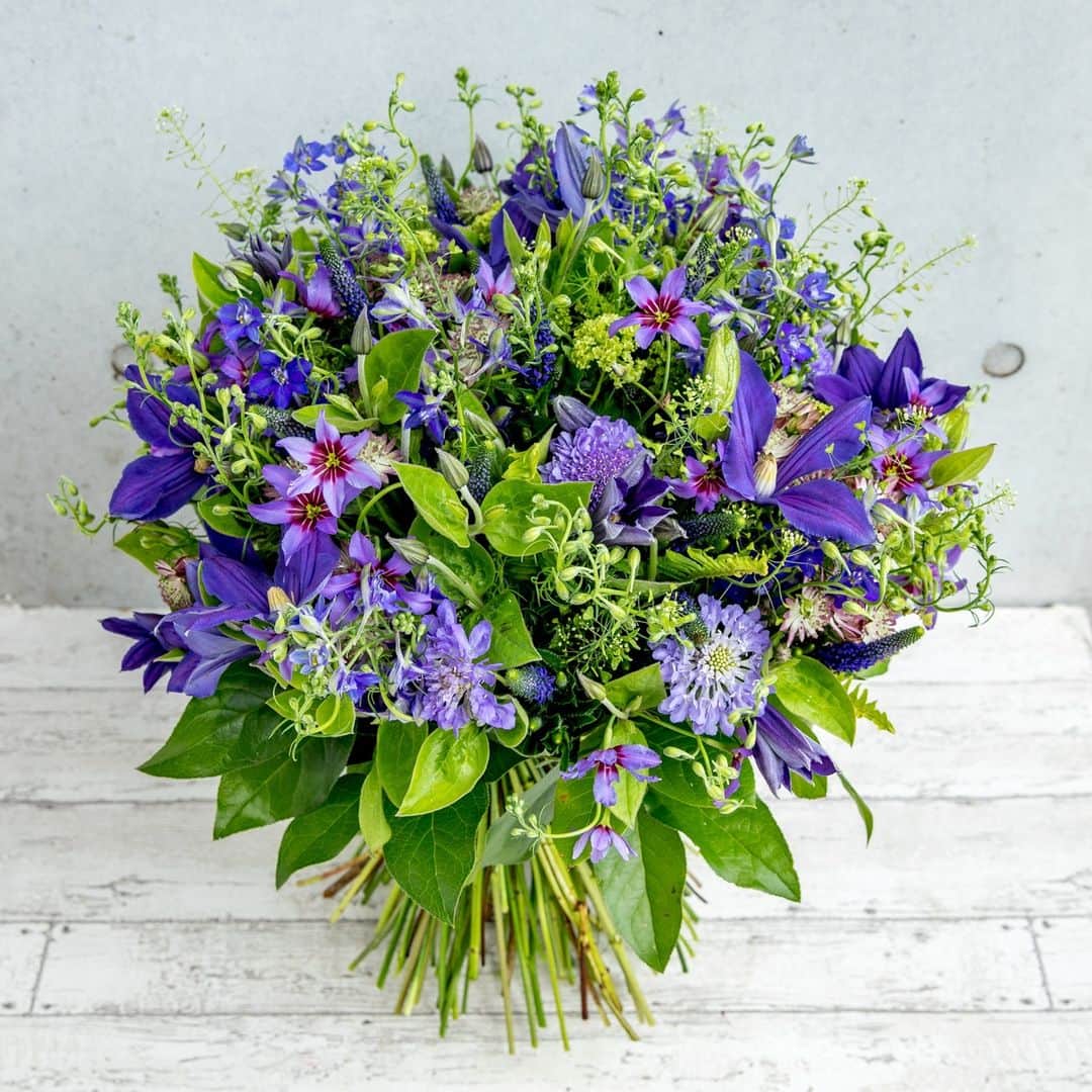 のインスタグラム：「💚💜💙 you can never go wrong with a bright coloured bouquet!  . . . . . #nicolaibergmann #flowerdesign #ニコライバーグマン #フラワーデザイン #니콜라이버그만 #꽃다발 #букетцветов #ramosdeflores #blumenstrauß」