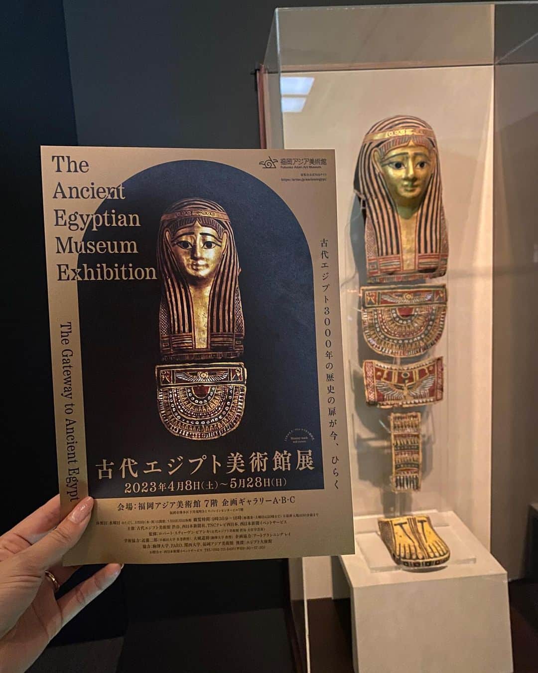前川由希子さんのインスタグラム写真 - (前川由希子Instagram)「・ 古代エジプト美術館展🇪🇬  思った以上に興味深かった！ ミイラマスク、木棺、少女のミイラ、 神々の神像… 古代エジプト3000年の歴史、 すごいです。 これを機会にいろいろ調べたくなった！  たぶん、ロマン。なんだと思う。  【古代エジプト美術館展】 場所：福岡アジア美術館 7階 企画ギャラリーA・B・C （福岡市博多区下川端町3-1 リバレインセンタービル7階） 期間：2023年4月8日 (土） 〜 5月28日 (日） 休館日：水曜日 観覧料：　　当日　　 前売 　一般 　　 1,600円　1,400円 　高大生 　 1,300円 　1,100円 　小中生 　　800円 　　600円  PR@egyptian_museum_exhibition  #古代エジプト美術館展  #福岡アジア美術館  #古代エジプト  #古代エジプト展  #egyptianmuseum  #theancientegyptianmuseum  #theancientegyptianmuseumexhibition  #museum  #お誘いありがとう」4月22日 21時19分 - maekawa.yukiko