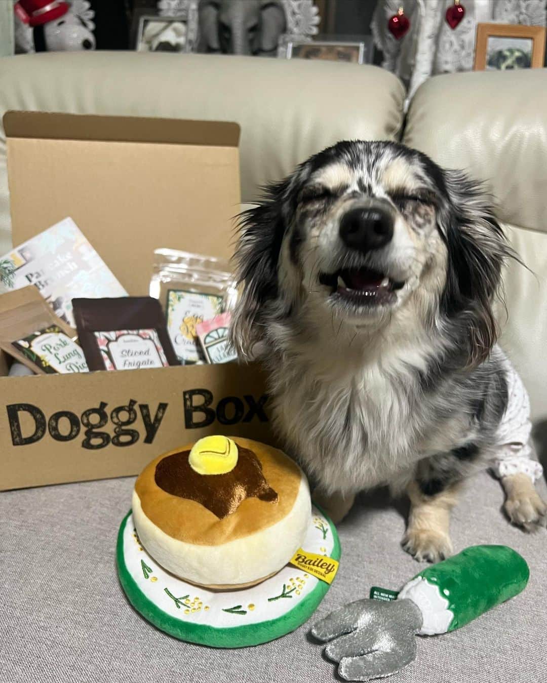 藤江れいなさんのインスタグラム写真 - (藤江れいなInstagram)「❤︎ 今月のDoggy Box🍬 パンケーキとフォークが可愛すぎる🥞🍴  今回のアネラのお気に入りは フォークのおもちゃみたいです！ 良かったね、アネラさん👼  🎁▶︎ @doggybox_jp  🐶▶︎ @ane.love0328  #doggybox #ドギボ #pr #犬のいる暮らし #チワックス」4月22日 21時42分 - 01nyan0201