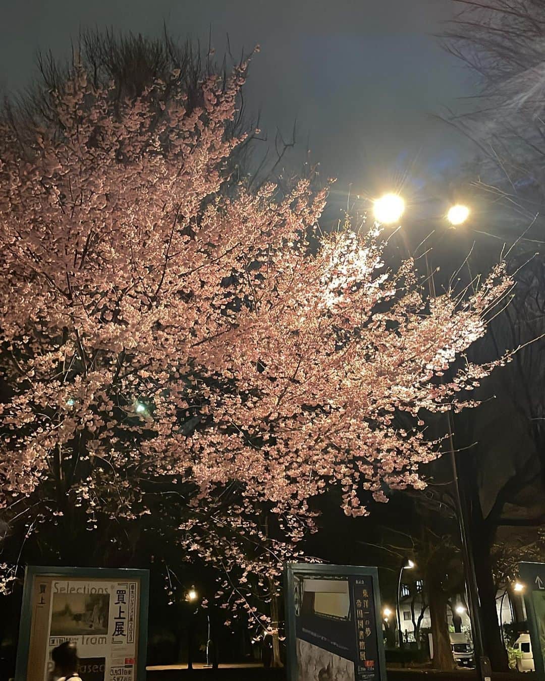 陣ノ内柚来さんのインスタグラム写真 - (陣ノ内柚来Instagram)「桜の季節ももう終わっちゃったね~、 ・ ・ #アーカイブ投稿」4月22日 21時43分 - yura_world