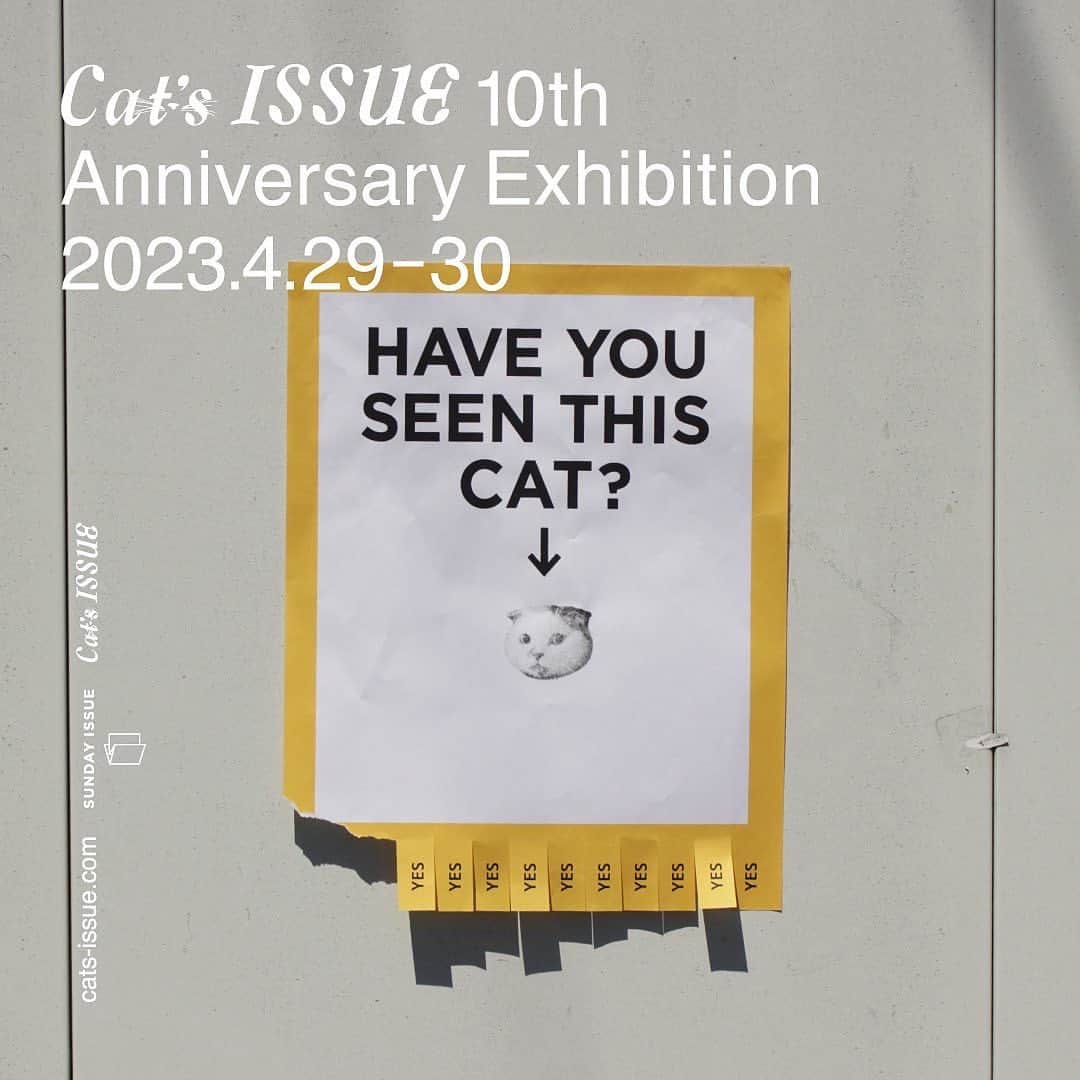 猫ラボさんのインスタグラム写真 - (猫ラボInstagram)「Cat's ISSUE 「10th Anniversary Exhibition」に参加します。  カプセルトイ第二弾『ねこの純喫茶』も会場で数量限定先行発売します。  カプセルトイシリーズ姿の陶猫ほか、 いまがんばって仕上げてます！！  こちらはつまみ食い猫（高さ10cmくらい）。  日程：2023年4月29日(土)・4月30日(日） 時間：11:30-19:00 会場：WEED HEIGHTS 〒151-0064 東京都渋谷区上原1-7-20 参加ブランド：minä perhonen / raregem / BLANC.. / simmon / 松﨑煎餅 / HADEN BOOKS 他 参加アーティスト：加賀美健 / 平山昌尚(HIMAA)/ Lee Izumida / yoshimaru / 小菅くみ / 小菅幸子 / 谷口真由美 / 猫ラボ / 石黒亜矢 子 / 永岡祐介 / yamase mayumi / 伊達努 / SHINKNOWNSUKE / 遠山敦 / 神ノ川智早 / 野崎くん / オガ ワヨウヘイ / Mari & Tomoka HAPPY WE / 西山寛紀 / 山口洋佑 / 麻生要一郎 / Lee Ju hee / Atélier de Sérigraphie Fractalé.他」4月22日 21時39分 - nekolabo