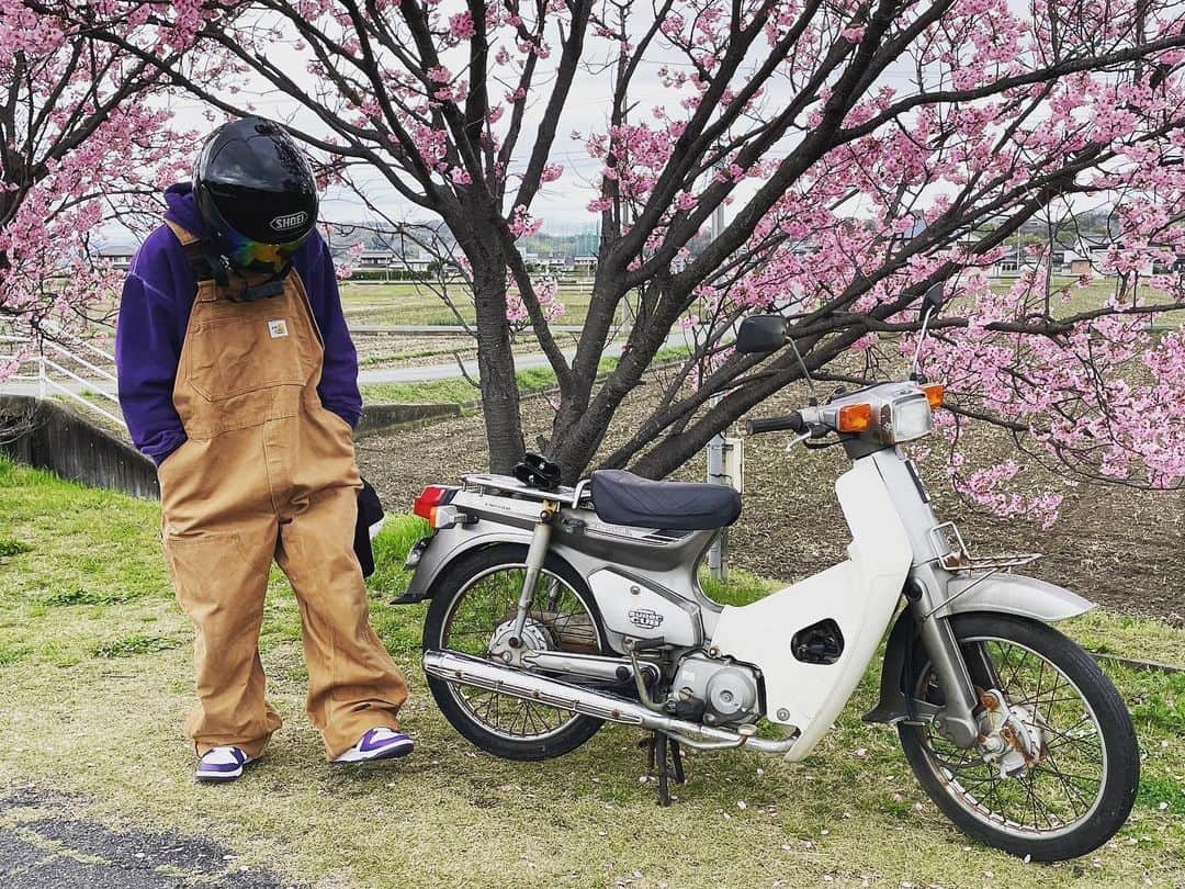 ANTI BCSCさんのインスタグラム写真 - (ANTI BCSCInstagram)「🛵 Super Cub50納車しました。 動画見てね〜✌️  #antibcsc #アンチビクスク #スーパーカブ #スーパーカブ50 #cub #cub50 #supercub #supercub50 #カブ主」4月22日 22時05分 - antibcsc