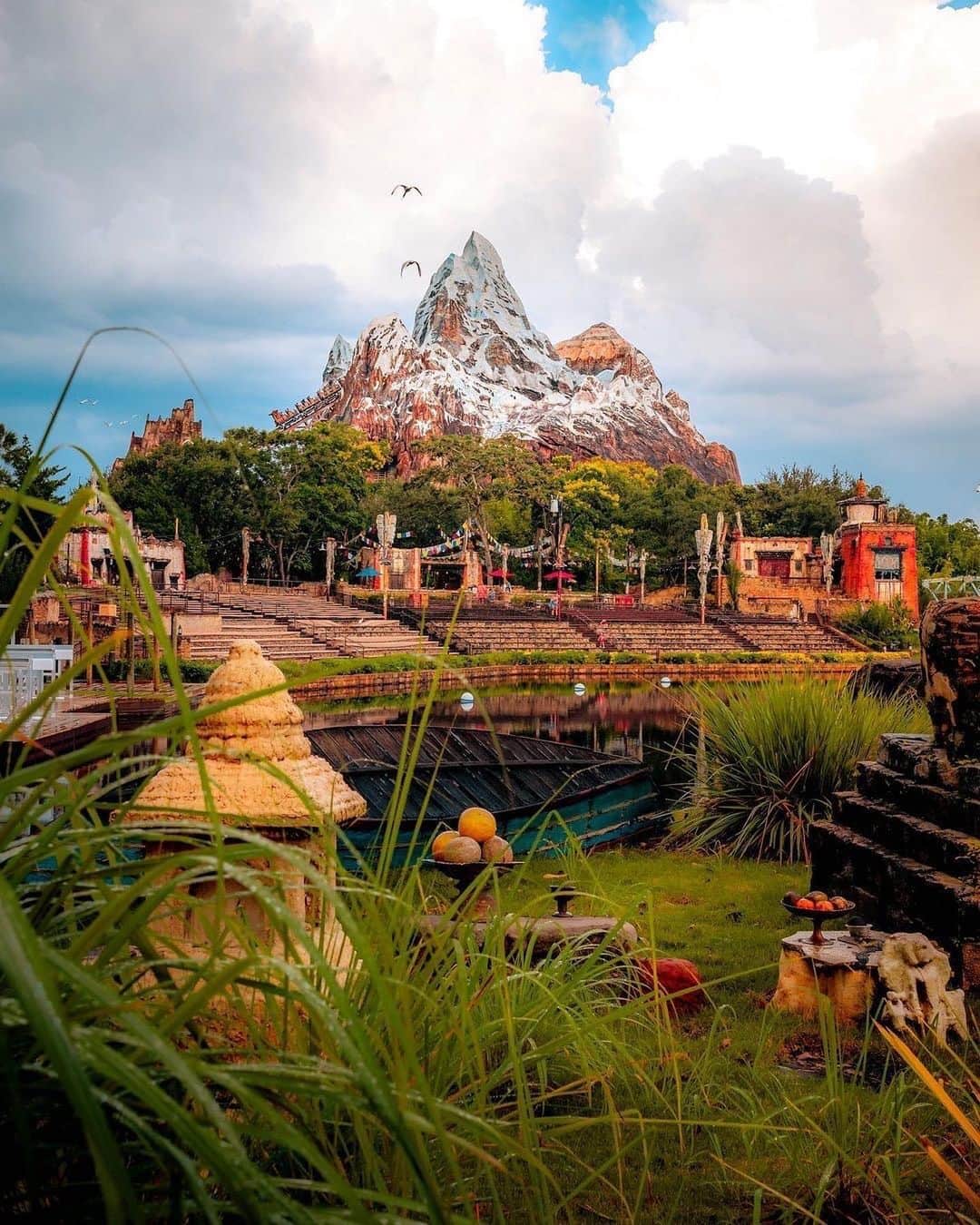 Walt Disney Worldのインスタグラム：「Happy anniversary to Disney's Animal Kingdom – celebrating 25 years of the magic of nature! 🌳🍃Share your favorite Animal Kingdom memory ⬇️ (📸: tagged)」