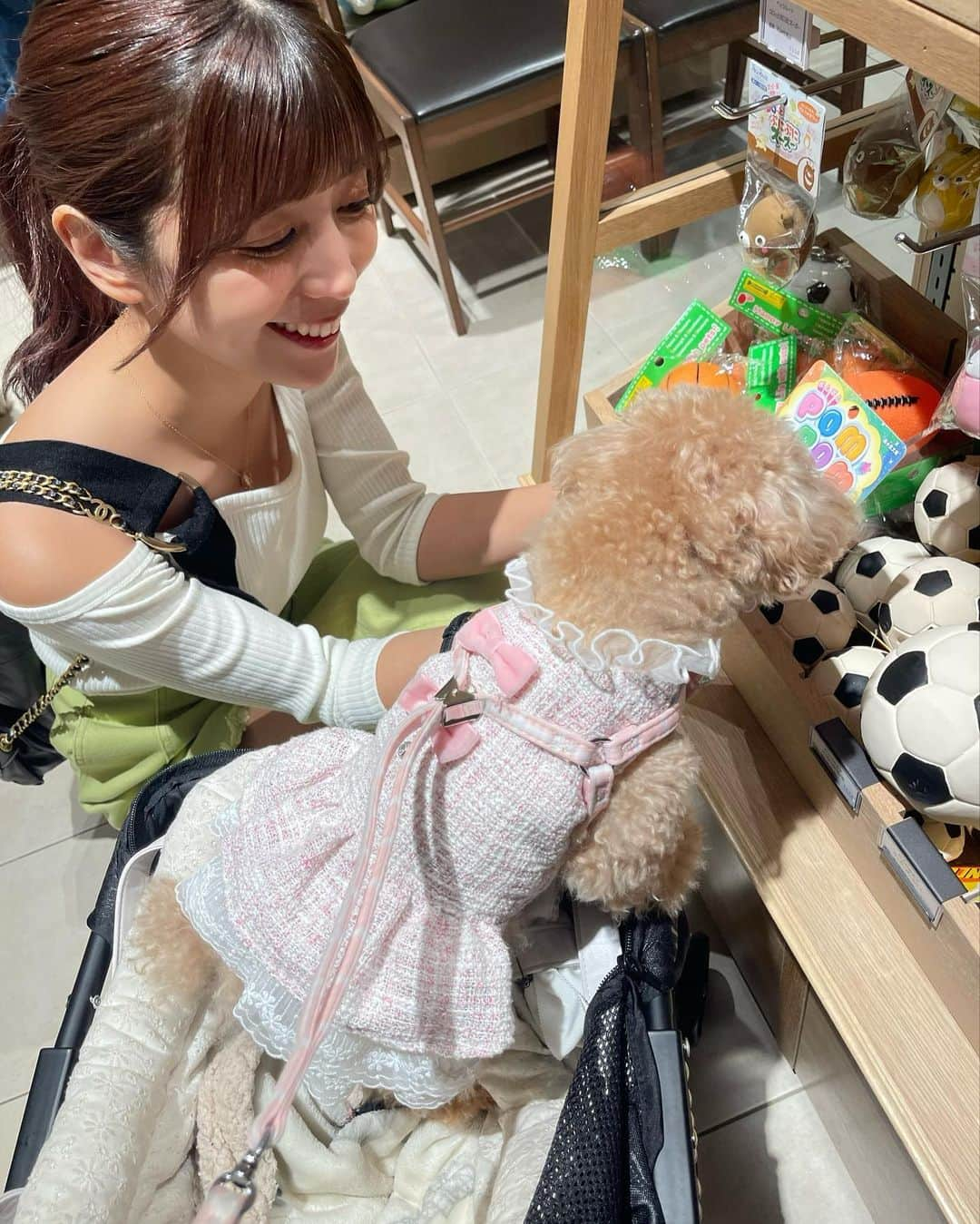 ゆんさんのインスタグラム写真 - (ゆんInstagram)「ぷぷちゃんショッピング🐩🛍  自分で買ってほしいおもちゃ選んで 尻尾振りながら上目遣いで 可愛くおねだりしてきたので まんまとたくさん買ってしまった、、  可愛いってずるい。可愛いは正義🥹🫶🏻」4月22日 22時51分 - yuntaaam_s2