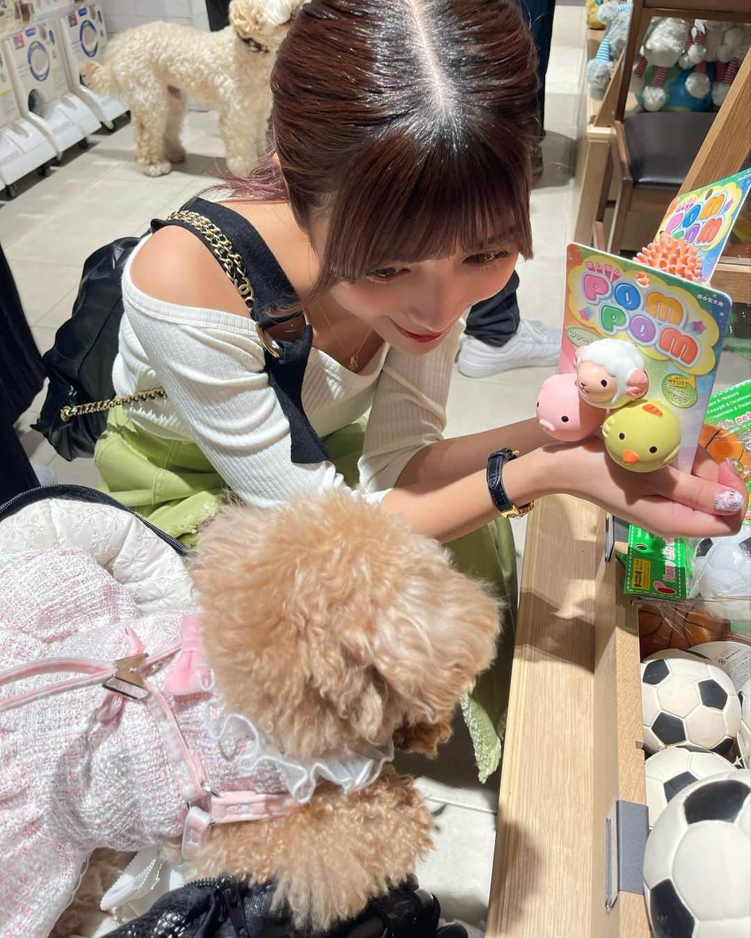 ゆんさんのインスタグラム写真 - (ゆんInstagram)「ぷぷちゃんショッピング🐩🛍  自分で買ってほしいおもちゃ選んで 尻尾振りながら上目遣いで 可愛くおねだりしてきたので まんまとたくさん買ってしまった、、  可愛いってずるい。可愛いは正義🥹🫶🏻」4月22日 22時51分 - yuntaaam_s2