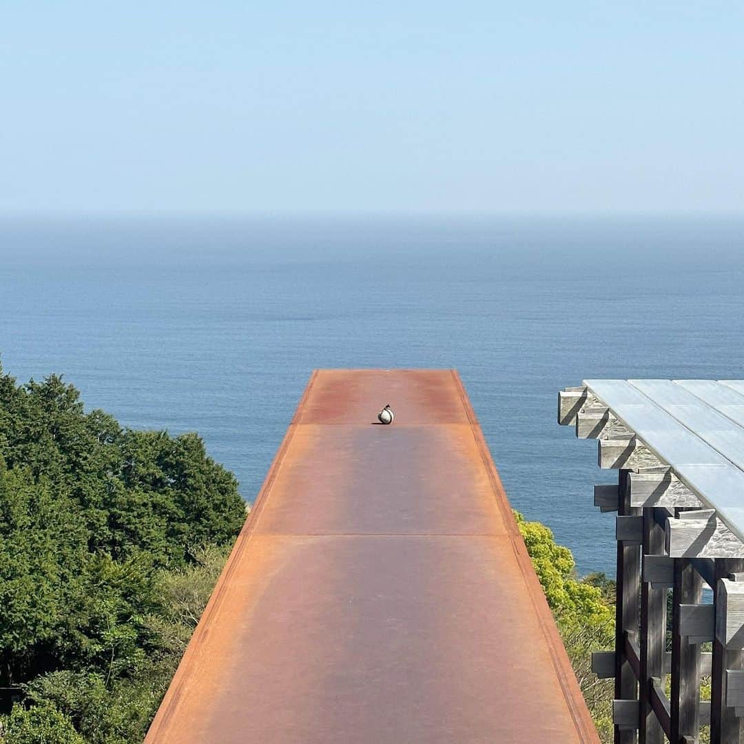 Sachiのインスタグラム：「@enoura_observatory   海と風と石達の時間。 なんだかエキゾチックだった。 石達のグレートーンが好き。。。」