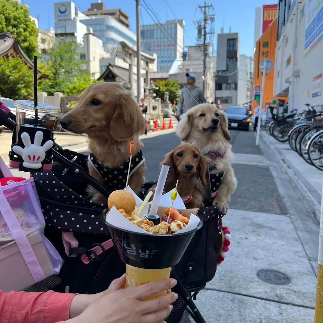 ピックのインスタグラム