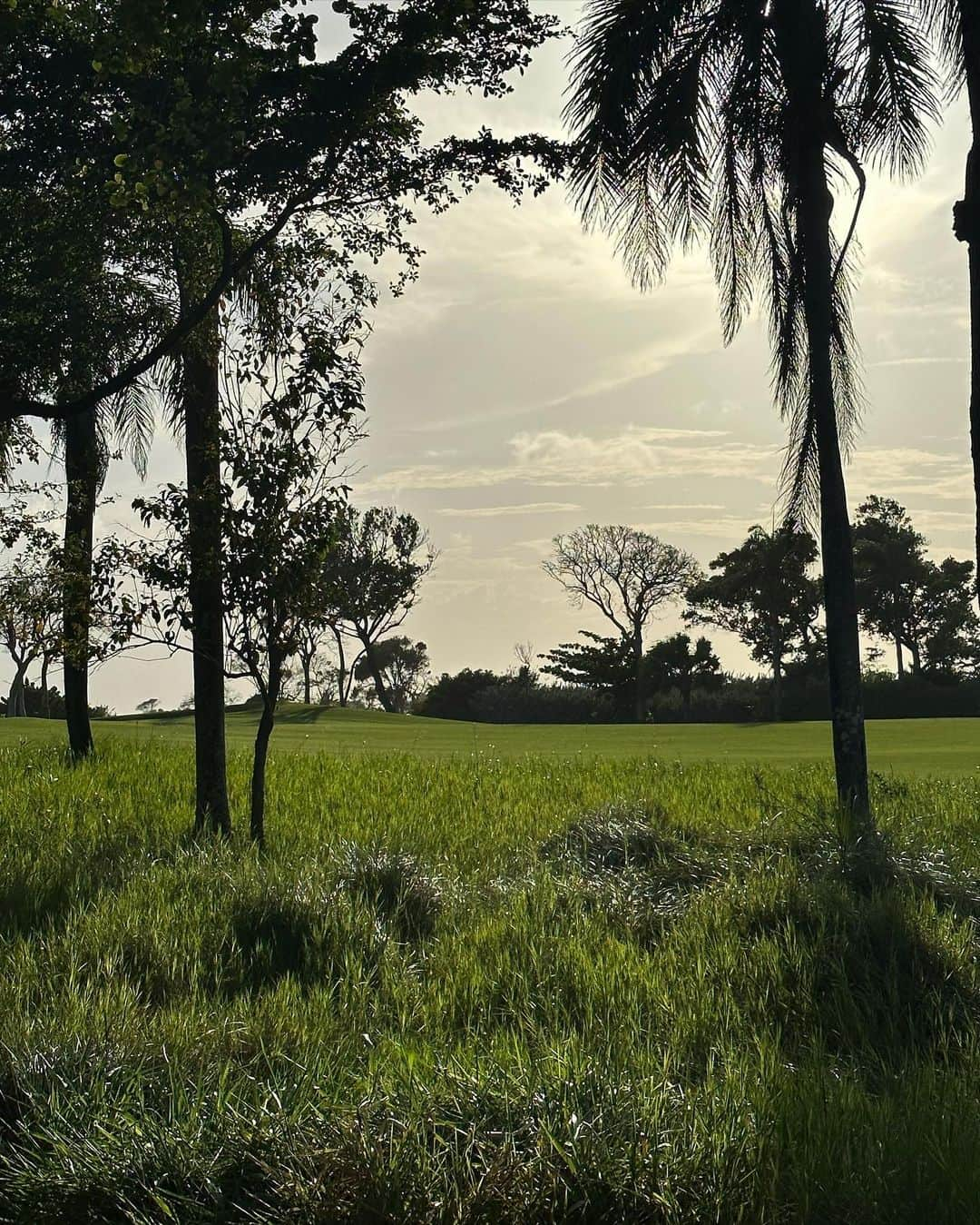 ヨハネス・ヒューブルさんのインスタグラム写真 - (ヨハネス・ヒューブルInstagram)「Caribbean getaway 📍🇩🇴」4月23日 9時04分 - johanneshuebl