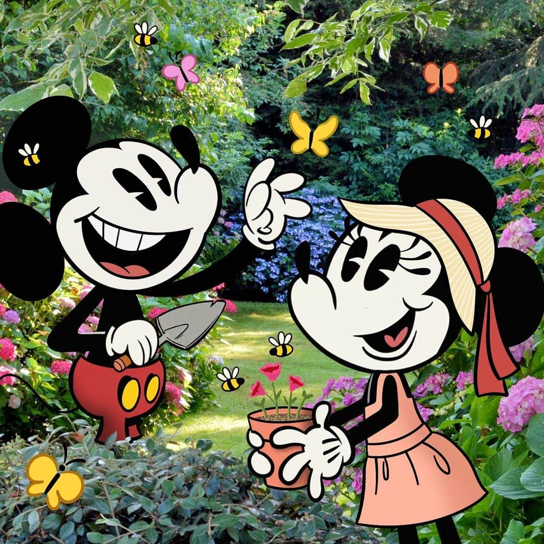 ミニーマウスのインスタグラム：「In honor of #EarthDay, Mickey and Minnie are planting their very own Pollinator Garden! To date Disney has recorded more than 120 species of pollinators around the world in the places we call home.  Head to the link in bio to learn more about how Pollinator Gardens can bring a little extra love to our Earth today. 🌍 🌼🐝🌸🦋」