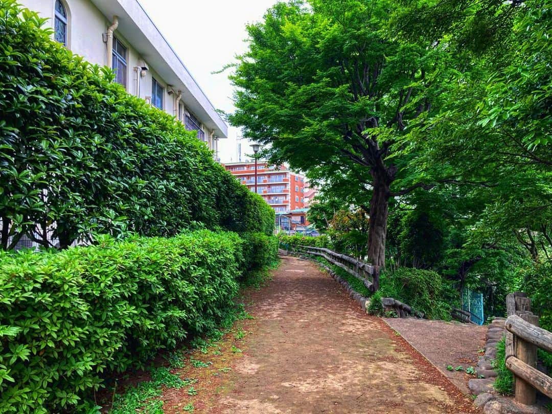 宇田川大輔のインスタグラム：「本日の朝ラン #朝ラン #running #城南エリア」