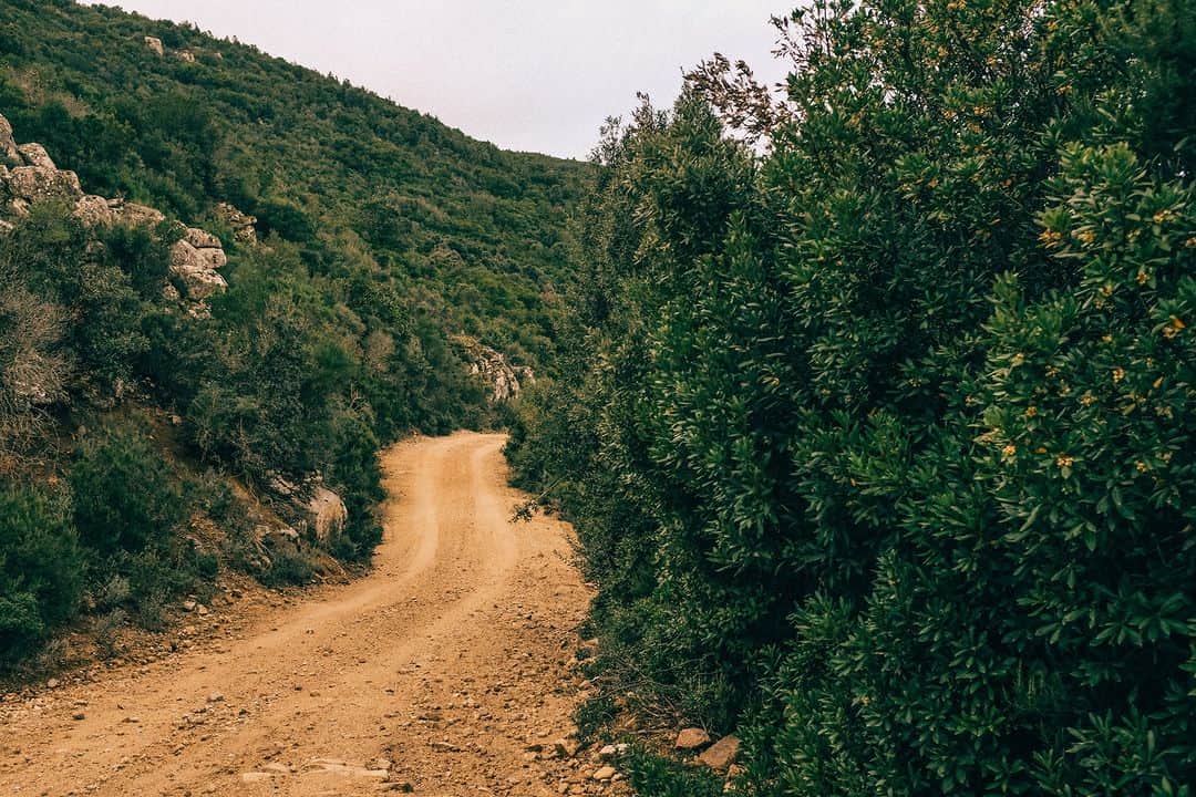 ビブラムさんのインスタグラム写真 - (ビブラムInstagram)「“Vibram is very much the unsung hero of adventure - the trusted interface between us and terrain since 1937. Whether riding or hike-a-biking loose gravel, fording slippy-stone river beds, or spending time off-the-bike, they’ll have a grip of what’s going on. Since founder Vitale Bramani launched the ‘Friendship Cup’ ahead of his time in the 1960s, Vibram has always supported outdoor events, and now @roamer_rendezvous - we’re chuffed to have one of the soles of bikepacking on board.” @stefanamato @panniercc Founder  #Vibram #ConfidenceInEveryStep #YourConnectionToEarth」4月23日 1時00分 - vibram