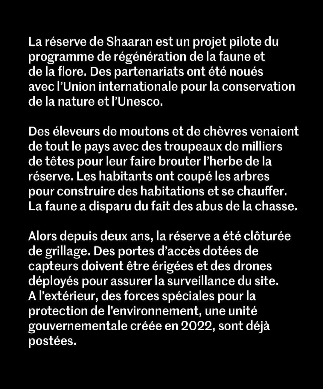 ルモンドさんのインスタグラム写真 - (ルモンドInstagram)「Au volant de son 4 × 4, Bassam Al-Balawi se repère sans peine dans l’immensité des vallées sablonneuses et des montagnes de grès de la réserve de Shaaran, dans la province d’Al-Ula, dans le nord de l’Arabie saoudite. Le ranger en connaît chaque recoin : ceux où se nichent les gazelles et les oryx qui ont été réintroduits sur le site, ceux où se terrent les loups sauvages qui traquent les bêtes les plus faibles.  Le Saoudien de 28 ans désigne le fin duvet vert qui recouvre le sable. « Des dunes se couvrent de fleurs blanches, jaunes ou violettes. Quand on a invité les cheikhs locaux dans la réserve, ils n’en ont pas cru leurs yeux. Ils sont revenus avec, en main, des herbes et des plantes qu’ils n’avaient plus vu depuis des années. Ils ont vu des animaux qui avaient disparu », dit-il fièrement.  Bassem Al-Balawi a été l’un des treize premiers rangers à être recrutés, en 2018, par l’équipe patrimoine naturel et vie sauvage de la Royal Commission for AlUla (RCU). L’organisme public venait d’être créé pour mettre en œuvre l’un des projets phares du plan « Vision 2030 » du prince héritier Mohammed Ben Salman, dit « MBS » : la transformation d’Al-Ula en destination touristique de ce royaume en quête d’ouverture et de modernisation. Des moyens importants – soit 35 milliards de dollars (31,54 millions d’euros) – ont été alloués pour refaçonner ce territoire de 25 000 km2, qui accueille cinq sites archéologiques, dont des tombeaux nabatéens vieux de deux millénaires et cinq réserves protégées qui couvrent 80 % de la superficie. - Vous avez lu 21% de cet article. - Photos : DAVID CHANCELLOR -  #shaaranreserve  #climat #biodiversite #patrimoinenaturel #viesauvage」4月23日 1時00分 - lemondefr