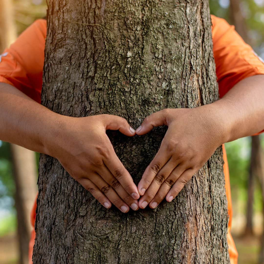 REIさんのインスタグラム写真 - (REIInstagram)「This Earth Day, we can make a difference by planting trees in underserved neighborhoods through the TREES Act. Learn more and tell Congress to pass this important bill at the link in bio!」4月23日 1時00分 - rei