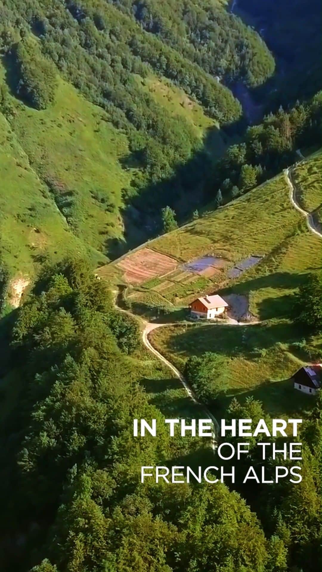 Clarins Canadaのインスタグラム：「At Clarins, we are devoted to nature. In every product, you will find the best of our plant expertise. We see the natural world as an open air laboratory, to be treated with care and respect. And we believe in ethical sourcing. Our plants are often organic, grown via fair trade partnerships and systematically cultivated in a responsible manner. The Earth Day, discover our sustainable actions and commitments. 🌱  __________ Chez Clarins, nous sommes dévoués à la nature. Dans chaque produit, vous trouverez le meilleur de notre expertise des plantes. Nous voyons la nature comme un laboratoire à ciel ouvert, à traiter avec soin et respect. Et nous croyons en l’approvisionnement éthique. Nos plantes sont souvent biologiques, cultivées via des partenariats de commerce équitable et systématiquement cultivées de manière responsable. Le Jour de la Terre, découvrez nos actions et engagements durables. 🌱  . . . #Clarins #EarthDay」