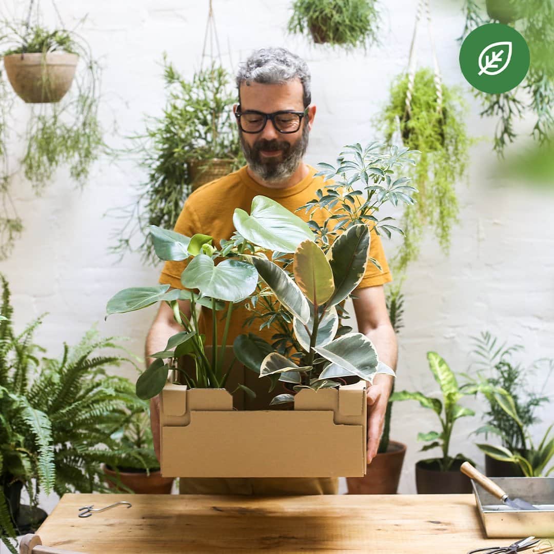 IKEA USAのインスタグラム：「Happy #EarthDay! Check out some of the exciting things we’re doing to help people live a more sustainable everyday life at home. Learn more at link in bio.」