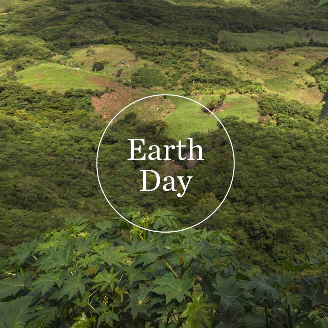 Blue Bottle Coffeeのインスタグラム：「This Earth Day, we’d like to reflect on our commitments to each other and the planet in our coffee sourcing. Thanks for making all this and so much more possible.」