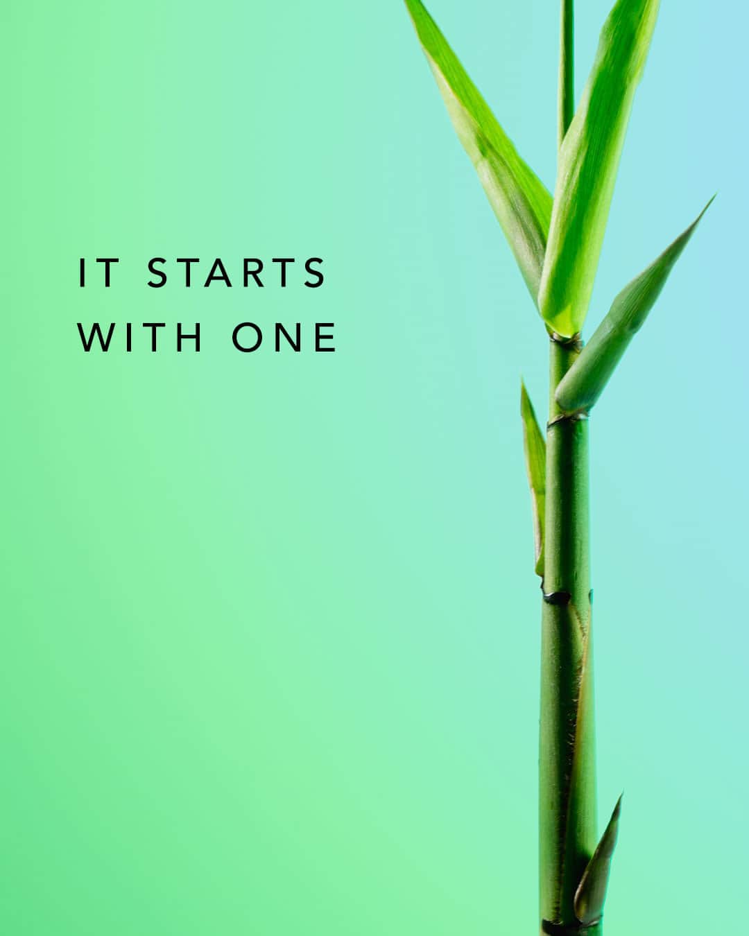 ジョン ハーディーさんのインスタグラム写真 - (ジョン ハーディーInstagram)「To build a forest, you begin by planting 1 bamboo at a time.」4月23日 1時05分 - johnhardyjewelry