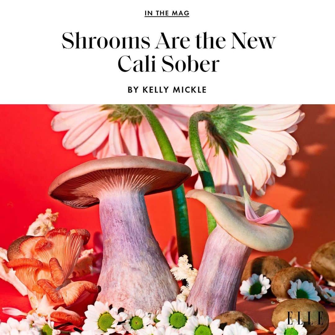 ELLE Magazineさんのインスタグラム写真 - (ELLE MagazineInstagram)「Is morel support the new aperol spritz? Microdoses of magic mushrooms have caught on with women who claim they are a less toxic replacement for alcohol. @kellymickle wrote about the research behind it for ELLE's April issue.  "I swear, if my kids ask ‘do you wanna craft?’ I’m like ‘no,’ says a micro-dosing business owner and mother of two in San Diego. "But then I’ll eat some mushrooms and suddenly I’m Martha f***ing Stewart." Read more at the link in bio.」4月23日 1時24分 - elleusa