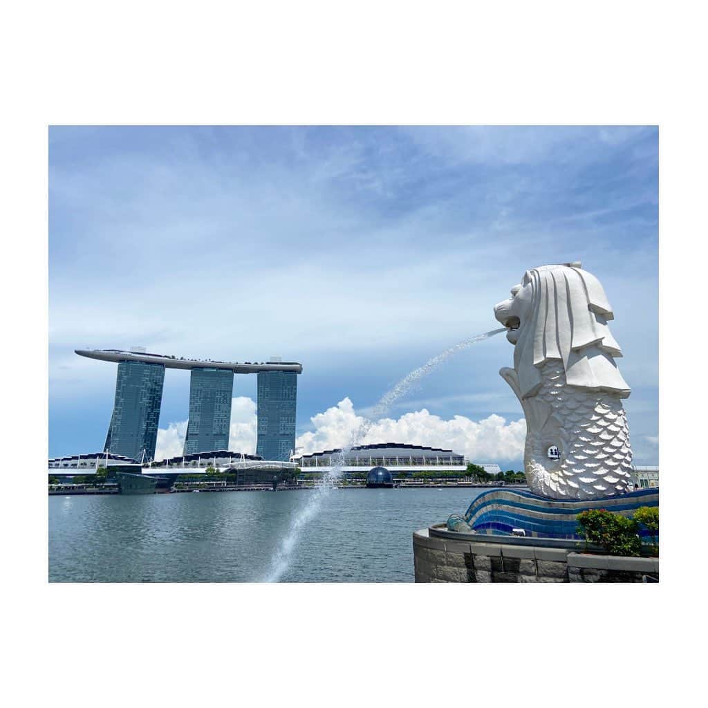 荒尾茉紀のインスタグラム：「かなり突然の訪問だったのに、家に泊めてくれたり、一緒にご飯やお茶してくれたり、人に恵まれすぎてて感謝しかないです😭💕  ちなみに前日の昼過ぎに飛行機チケット買ってバンコク⇄シンガポール往復なんと2万円ちょっと✈️  #singapore #trip #tripstagram  #シンガポール #旅行 #旅スタグラム」
