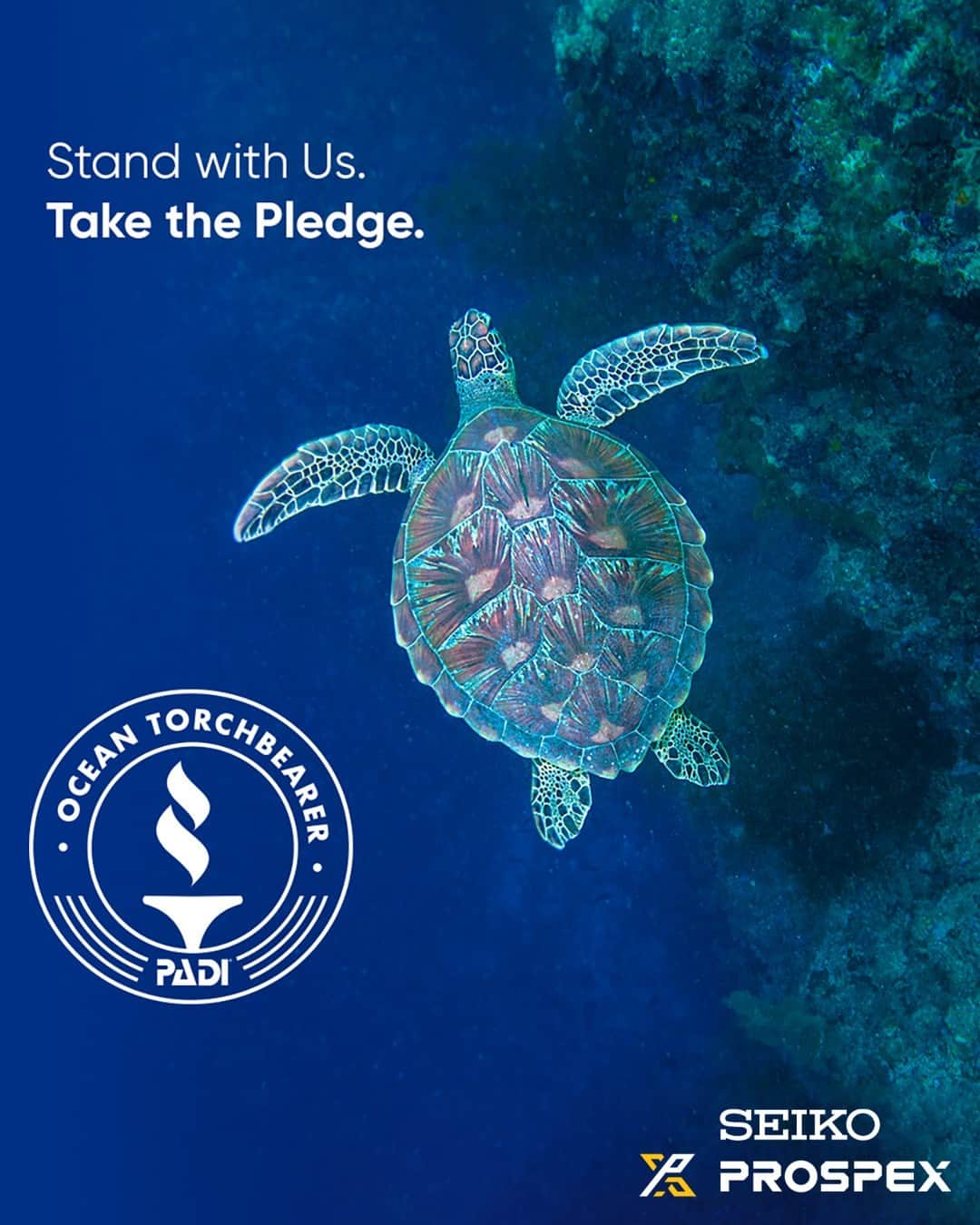 Seiko Watchesさんのインスタグラム写真 - (Seiko WatchesInstagram)「The Seiko Prospex Mission: to help protect the world's oceans now and for future generations.    This Earth Day, join Seiko and PADI to take the ‘Save the Ocean Pledge’ and help to build the world’s largest community creating ocean change.    Stand with us. Take the pledge at  padi.com/savetheocean    #Seiko #SeikoProspex #Savetheocean #PADI #oceanpledge #Earthday #oceanconservation #keepgoingforward」4月23日 3時00分 - seikowatchusa