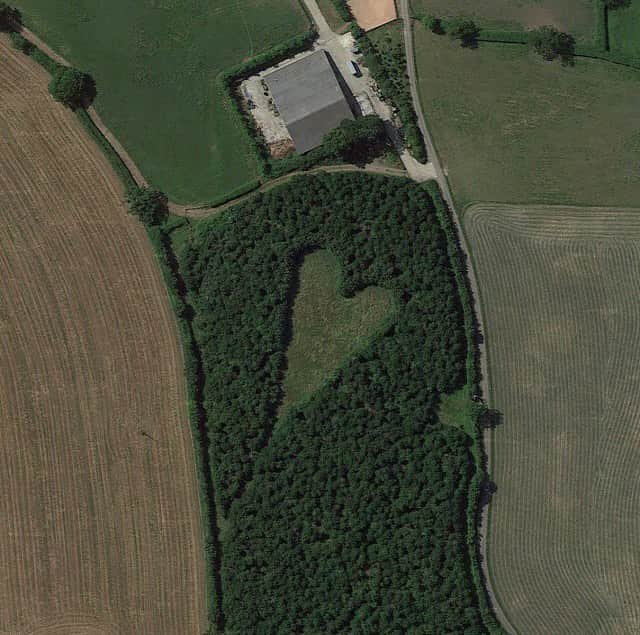 Eileen Kellyのインスタグラム：「Happy Earth Day 🌳 💚  A widowed farmer, Winston Howes, created a heart-shaped meadow out of 6,000 oak trees as a tribute to his late wife, Janet. The heart points towards her childhood home. Give me this or give me nothing at all!!」