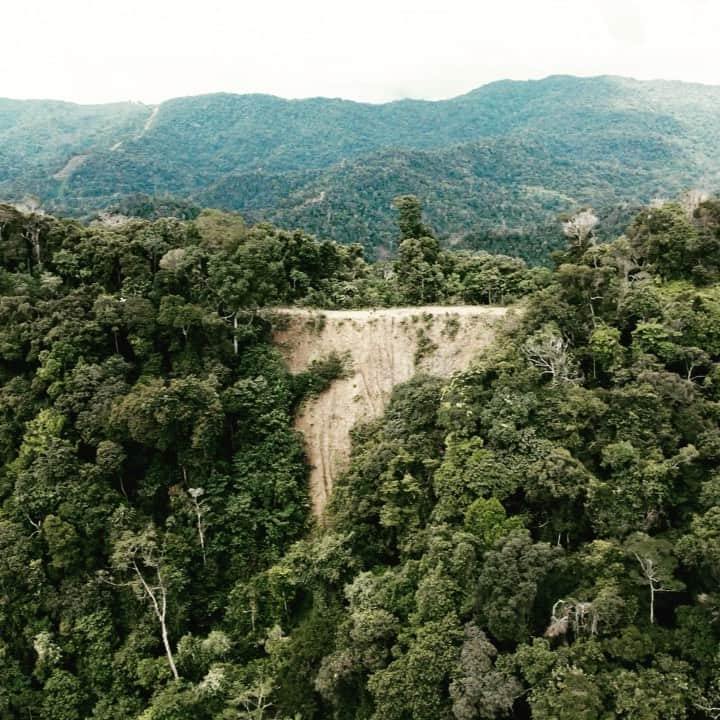 ジェローム・デュランのインスタグラム：「Two warriors I met last year, grandfather and grand daughter, one of the last of the Penan tribe, protecting the very beautiful yet very fragile Borneo Rainforest in Malaysia from logging, deforestation, and their very way of life.   Along with my crazy camping buddies Rob @raksasamods and Julia @pupfishlittlefeather, we were lucky to sleep in the trees, feel the rain, get woken up in the middle of the night by the song of the intense orchestra of bugs, and most importantly get to know this wonderful tribe even for just a little bit.   I know it’s not popular to say but the ecosystem is fragile.  I’ve seen It.  Clear cutting as far as u can see, endless plantations of palm oil and eucalyptus, driving out all the wildlife and ancient tribal ways, completely changing the dynamic of one of the longest continuous rainforests we have.   I worry, but still am grateful. 🙏🏼  Earth Day is every day 💚」