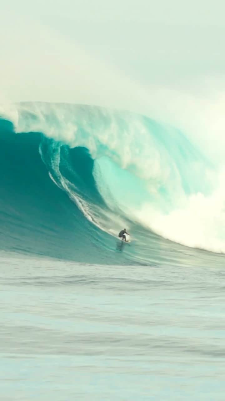 のインスタグラム：「Big Wave season was NUTS 🤯 @NicVonRupp  Within the first two weeks of January, Nic managed to surf Cortez Bank, Eddie Aikau, and get barreled at Jaws. Click the link in bio to watch all the madness in his new edit, out now on YouTube.   🎥: @purpletoaster   #MonsterEnergy #Surf #Surfing」