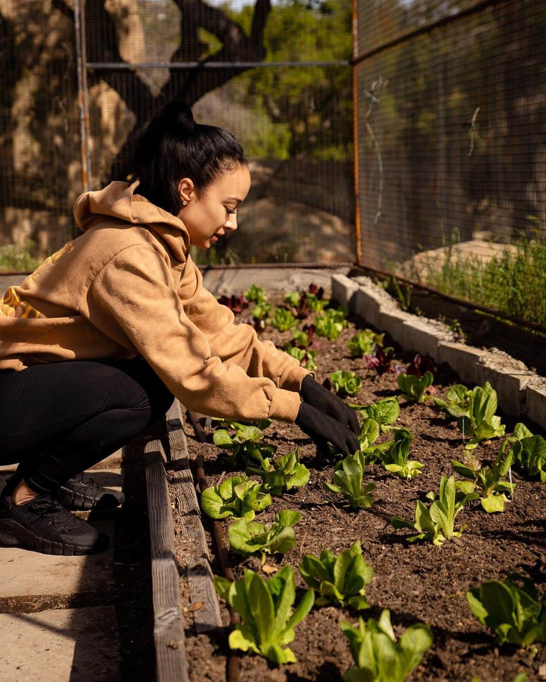 Draya Micheleさんのインスタグラム写真 - (Draya MicheleInstagram)「In honor of Earth Day I would like to share my major gains in my garden.  It was always a dream of mine to grown my own food and live off the land.  This is only the beginning. Special thanks to @eclatprofficial @manda_usa and their amazing plant food for assisting me in an incredible way! 🌱 … I think I want chickens next ☺️」4月23日 5時28分 - drayamichele