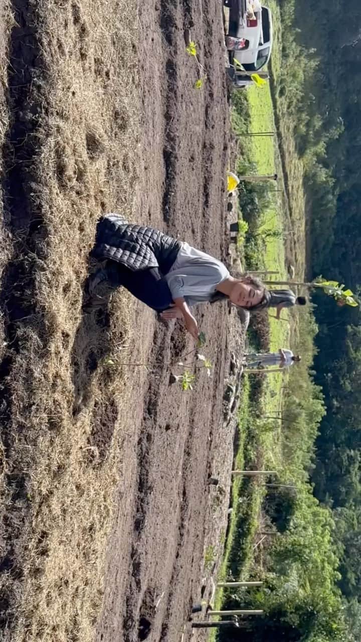 Yanna Lavigne 稲垣アンのインスタグラム：「Foi no dia mundial da mãe terra que, coincidentemente, realizamos um sonho: começar nossa agrofloresta em casa. 🌱🤍」