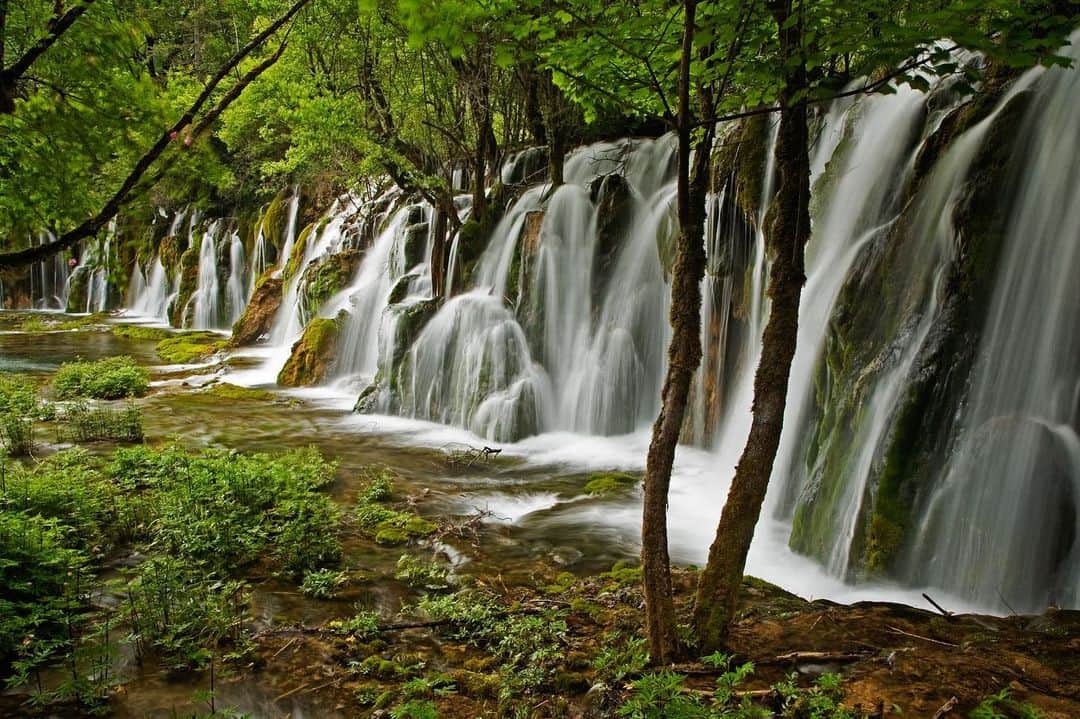 Michael Yamashitaのインスタグラム：「Happy Earth Day! We celebrate with photographs from Jiuzhaigou, China’s most popular and best run National Park. Famous for its otherworldly beauty, glacier fed crystal clear, emerald waters cascade down in a series of lakes, ponds, rivers, streams and rivulets punctuated by waterfalls. A UNESCO World Heritage, the United Nations called it “the most biologically diverse temperate zone in the world.” #earthday #jiuzhaigou #jiuzhaigounationalpark #sichuan #china」