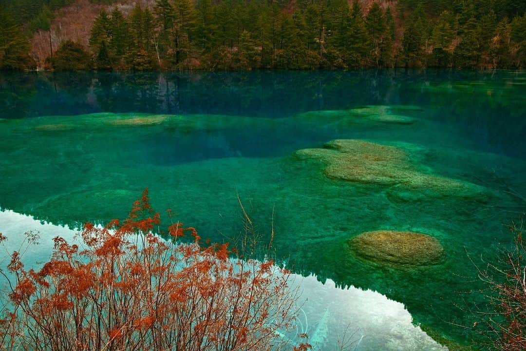 Michael Yamashitaさんのインスタグラム写真 - (Michael YamashitaInstagram)「Happy Earth Day! We celebrate with photographs from Jiuzhaigou, China’s most popular and best run National Park. Famous for its otherworldly beauty, glacier fed crystal clear, emerald waters cascade down in a series of lakes, ponds, rivers, streams and rivulets punctuated by waterfalls. A UNESCO World Heritage, the United Nations called it “the most biologically diverse temperate zone in the world.” #earthday #jiuzhaigou #jiuzhaigounationalpark #sichuan #china」4月23日 7時36分 - yamashitaphoto