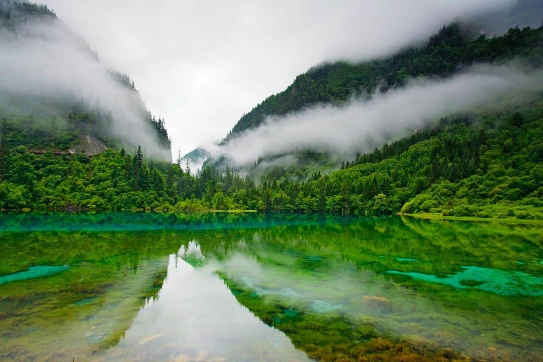 Michael Yamashitaさんのインスタグラム写真 - (Michael YamashitaInstagram)「Happy Earth Day! We celebrate with photographs from Jiuzhaigou, China’s most popular and best run National Park. Famous for its otherworldly beauty, glacier fed crystal clear, emerald waters cascade down in a series of lakes, ponds, rivers, streams and rivulets punctuated by waterfalls. A UNESCO World Heritage, the United Nations called it “the most biologically diverse temperate zone in the world.” #earthday #jiuzhaigou #jiuzhaigounationalpark #sichuan #china」4月23日 7時36分 - yamashitaphoto