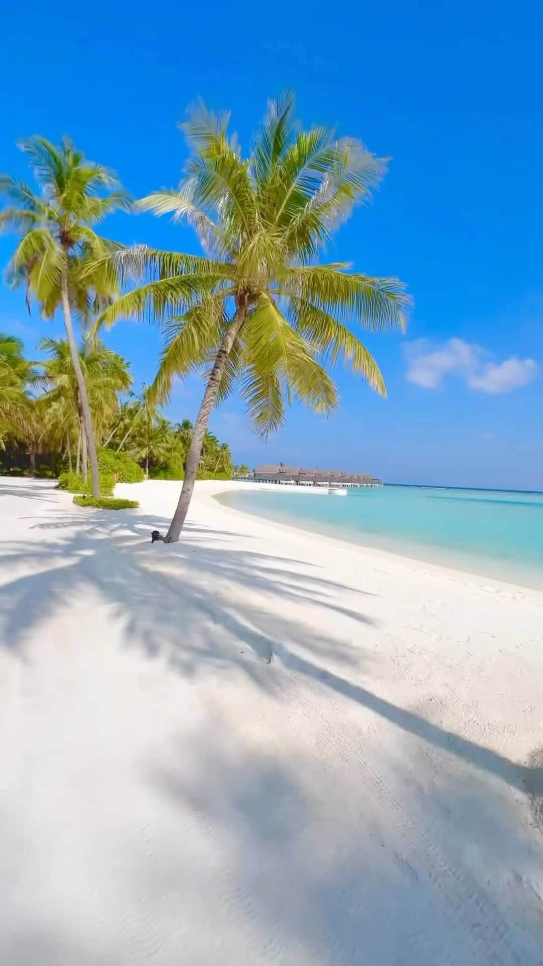 のインスタグラム：「Tropical Getaway   Contact us today to start planning your Maldives getaway @nichegetaways   📧 hello@nichegetaways.com 📞 +960 760 5656 (WhatsApp/Viber) 🌐 www.nichegetaways.com  🎥 @asso_maldives」